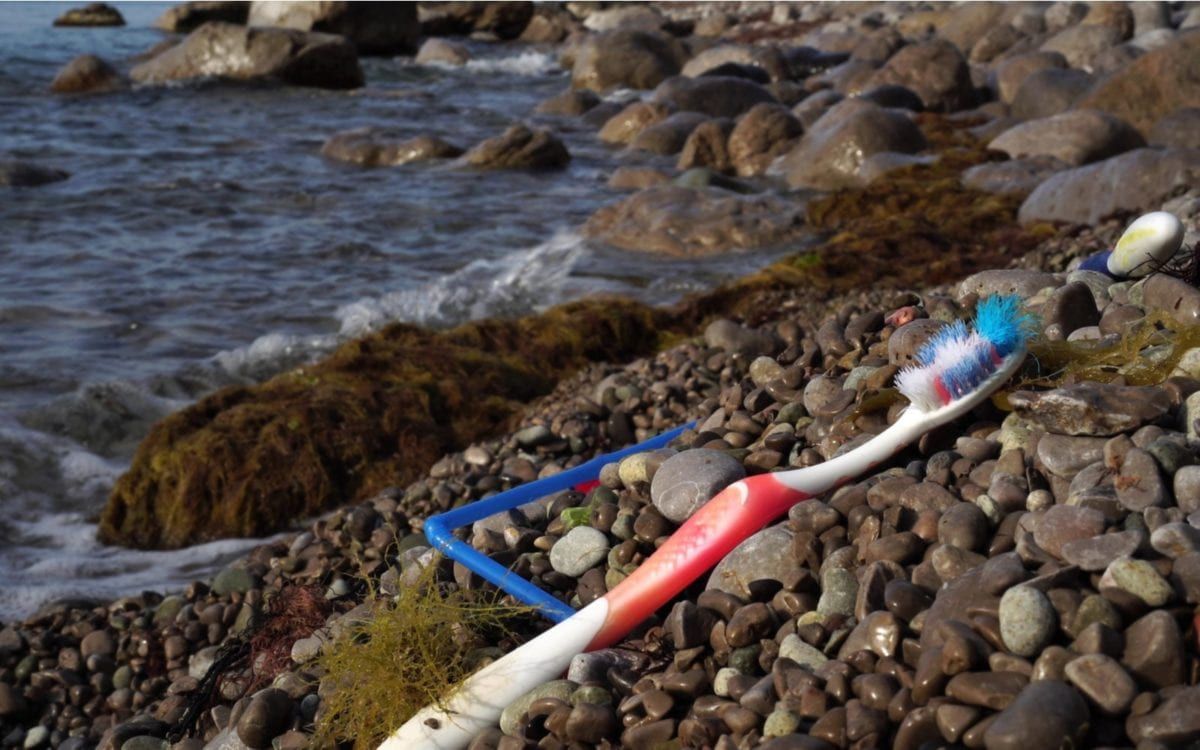 Toothbrush washed up on a beach