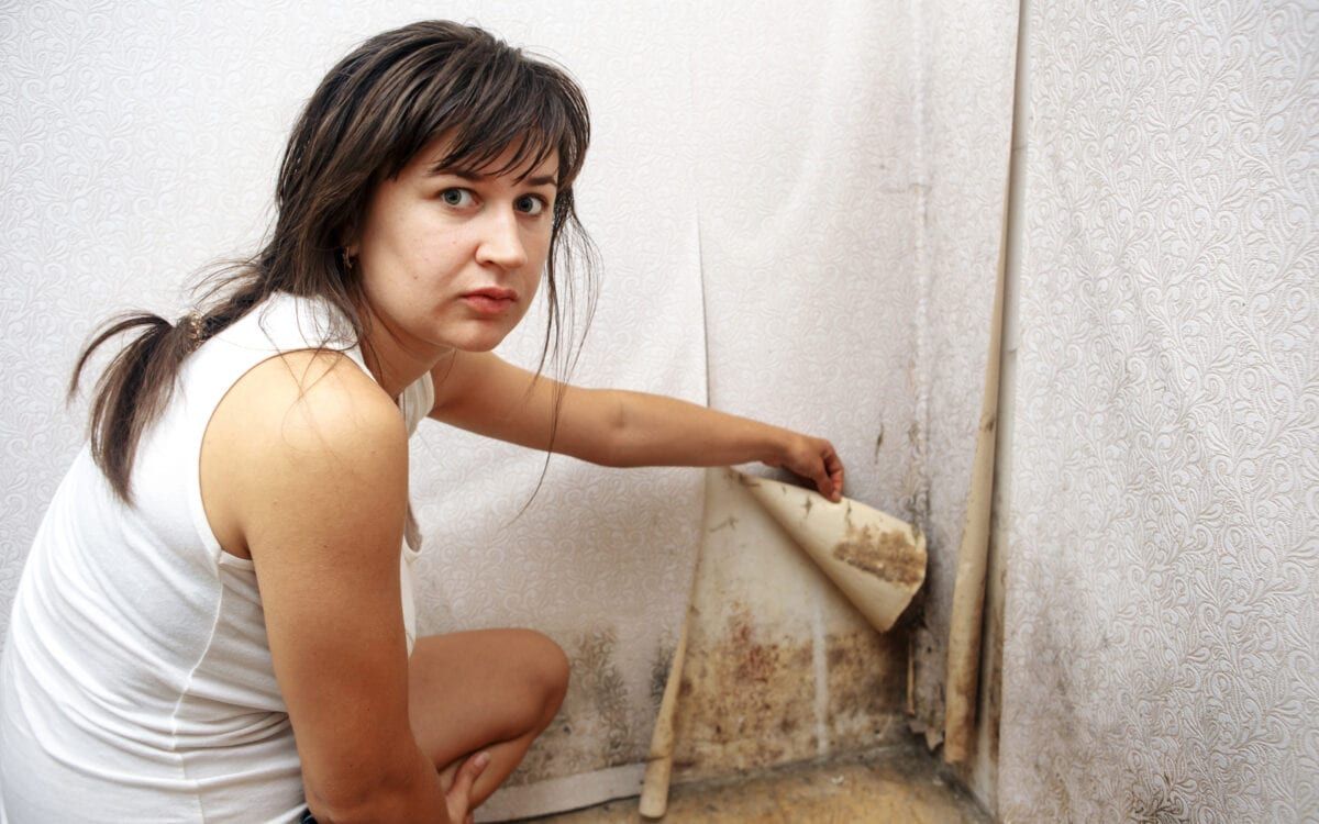 Woman revealing black mold behind wallpaper